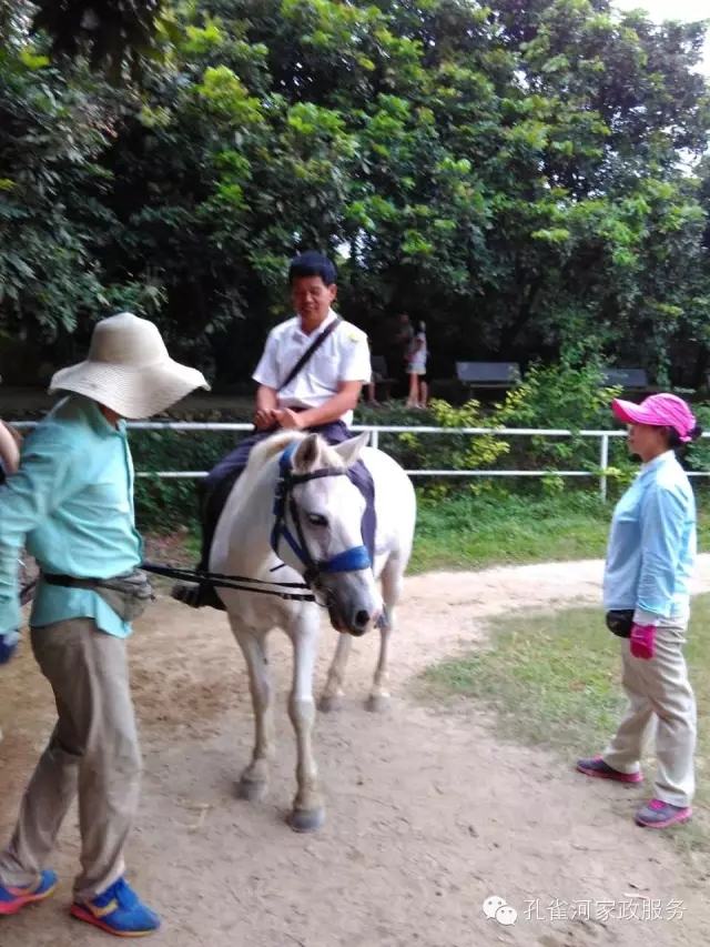 ���ҷ���׌��������á�2015��B�T�м�����(ji��)���(d��ng)��