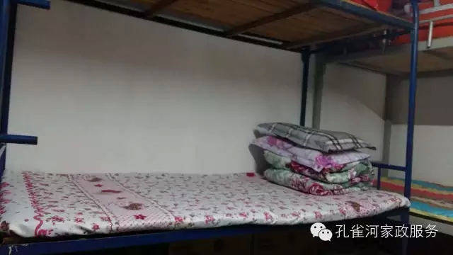 ��ȸ�Ӽ�����ķ������ů��ů�����ģ�