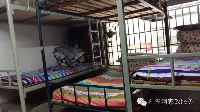 ��ȸ�Ӽ�����ķ������ů��ů��������