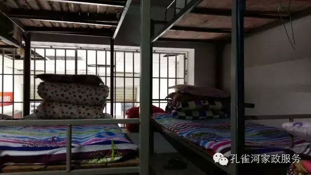 ��ȸ�Ӽ�����ķ������ů��ů��������