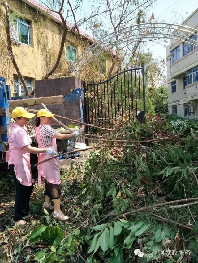 ��������y���������