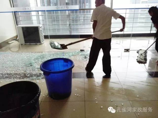 ��������y���������