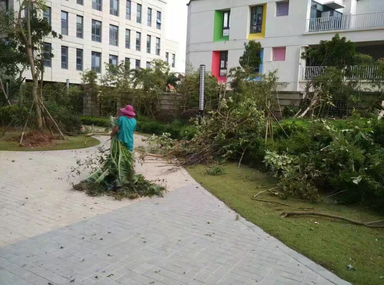 廈門家政公司接力災(zāi)后重建義工活動